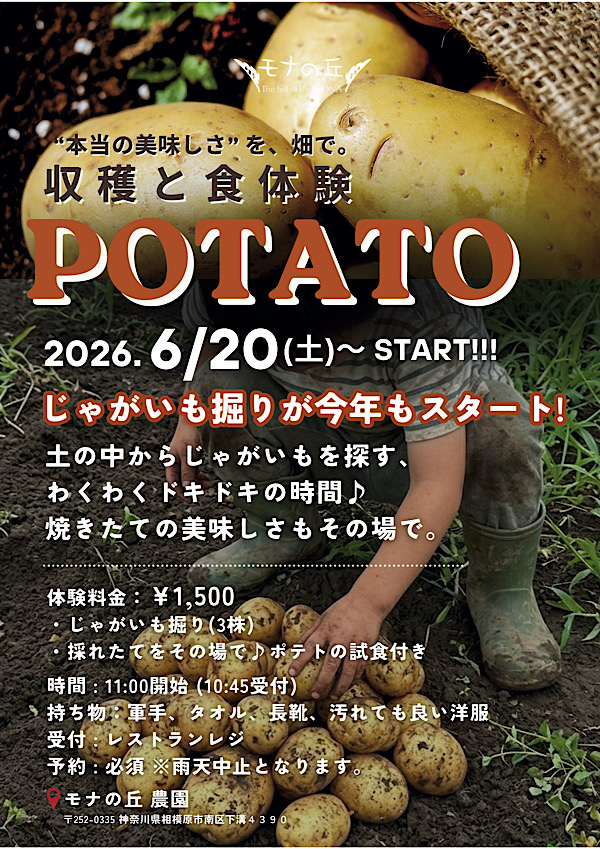 じゃがいも掘り体験