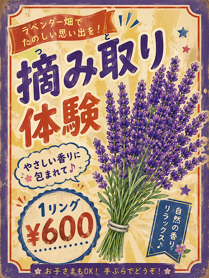 ラベンダー摘み取り体験