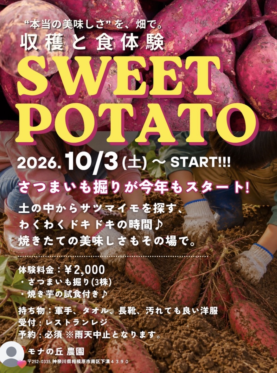 さつまいも堀体験